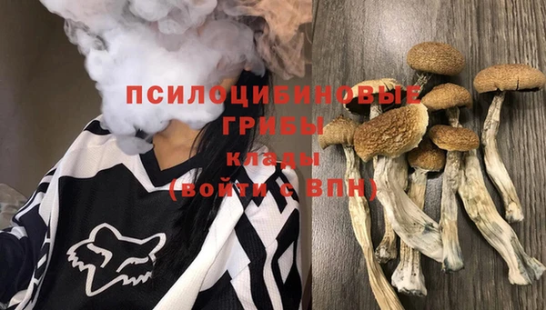 ПСИЛОЦИБИНОВЫЕ ГРИБЫ Аркадак